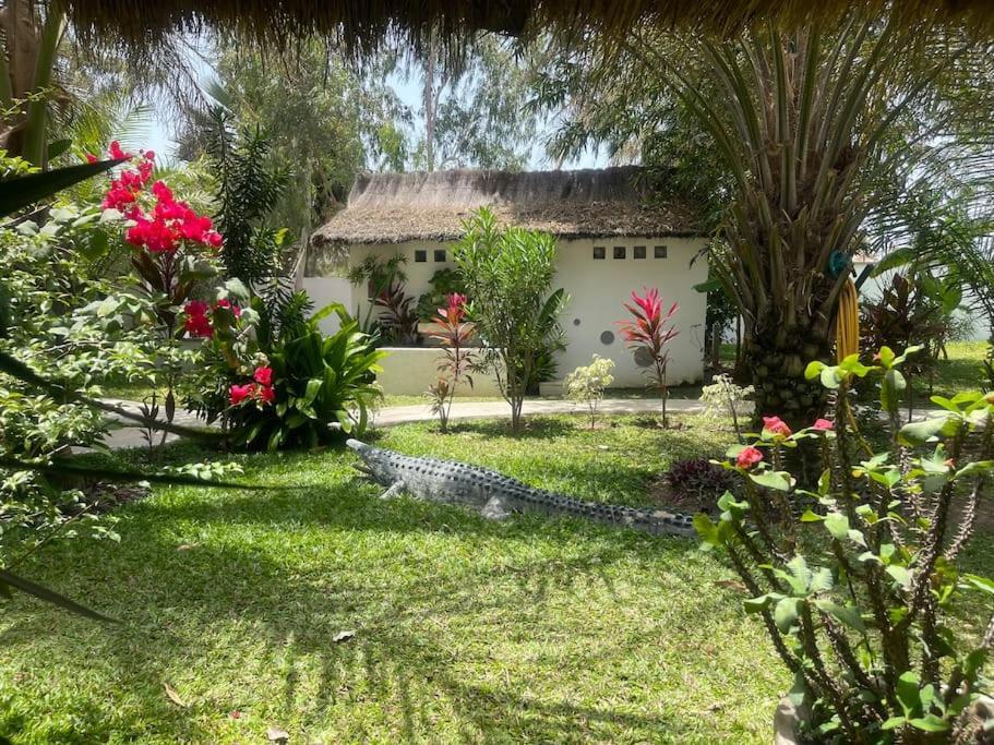 Villa Oasis Club Cabo Skirring Exterior foto